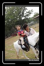 IMG_2128 * 566 x 910 * (248KB)