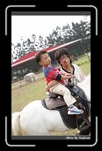 IMG_2129 * 566 x 910 * (248KB)