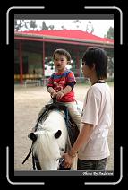 IMG_2139 * 566 x 910 * (237KB)