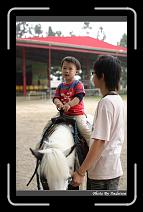 IMG_2140 * 566 x 910 * (234KB)