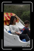 IMG_2170 * 566 x 910 * (248KB)