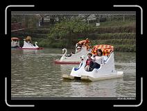 IMG_2217 * 850 x 608 * (235KB)