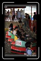 IMG_2233 * 566 x 910 * (223KB)