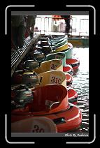 IMG_2237 * 566 x 910 * (235KB)