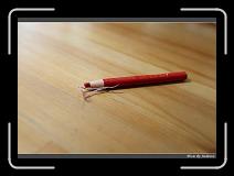 IMG_2283 * 850 x 608 * (224KB)