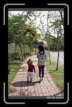 IMG_2349 * 566 x 910 * (244KB)