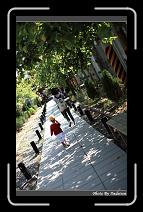 IMG_2373 * 566 x 910 * (247KB)