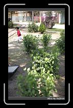 IMG_2693 * 566 x 910 * (247KB)