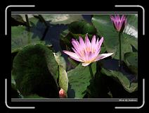 IMG_2709 * 850 x 608 * (241KB)