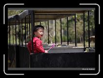 IMG_2724 * 850 x 608 * (249KB)