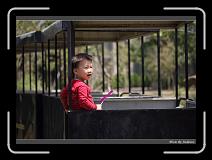 IMG_2725 * 850 x 608 * (220KB)