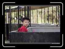 IMG_2729 * 850 x 608 * (249KB)