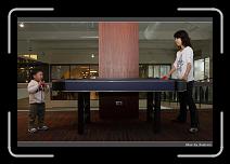 IMG_3031 * 850 x 568 * (219KB)