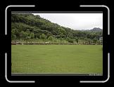 IMG_3177 * 850 x 608 * (238KB)