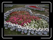 IMG_3202 * 850 x 608 * (245KB)
