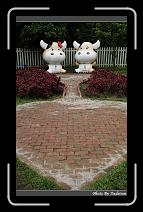 IMG_3230 * 566 x 910 * (240KB)