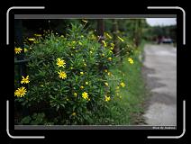 IMG_3258 * 850 x 608 * (241KB)