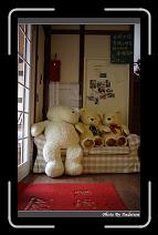 IMG_3265 * 566 x 910 * (227KB)