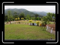 IMG_3287 * 850 x 608 * (243KB)