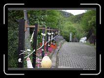IMG_3323 * 850 x 608 * (228KB)