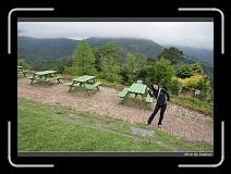 IMG_3350 * 850 x 608 * (243KB)