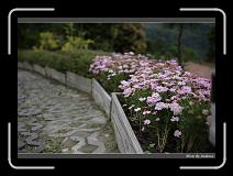 IMG_3352 * 850 x 608 * (238KB)