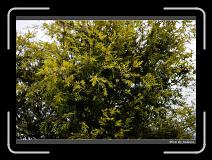 IMG_3353 * 850 x 608 * (246KB)