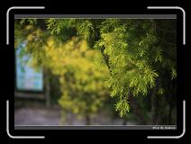 IMG_3357 * 850 x 608 * (236KB)