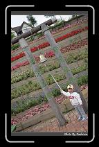 IMG_3362 * 566 x 910 * (244KB)