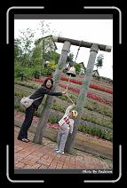 IMG_3367 * 566 x 910 * (245KB)