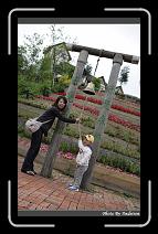 IMG_3368 * 566 x 910 * (241KB)