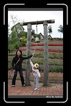 IMG_3369 * 566 x 910 * (242KB)