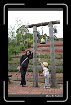 IMG_3370 * 566 x 910 * (239KB)