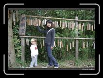 IMG_3380 * 850 x 608 * (246KB)