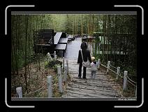 IMG_3384 * 850 x 608 * (249KB)