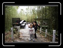 IMG_3385 * 850 x 608 * (241KB)