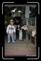IMG_3395 * 566 x 910 * (233KB)