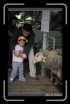 IMG_3402 * 566 x 910 * (221KB)