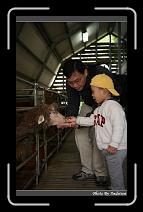 IMG_3406 * 566 x 910 * (244KB)