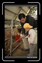 IMG_3408 * 566 x 910 * (240KB)