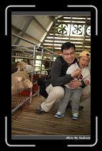 IMG_3418 * 566 x 910 * (238KB)