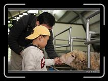 IMG_3425 * 850 x 608 * (210KB)