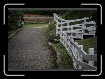 IMG_3437 * 850 x 608 * (240KB)