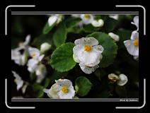 IMG_3451 * 850 x 608 * (203KB)