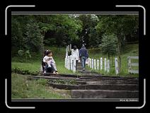 IMG_3456 * 850 x 608 * (248KB)