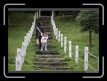 IMG_3463 * 850 x 608 * (242KB)