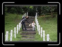 IMG_3464 * 850 x 608 * (247KB)