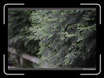 IMG_3467 * 850 x 608 * (248KB)