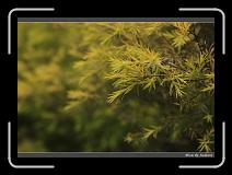 IMG_3474 * 850 x 608 * (225KB)