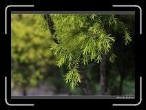 IMG_3475 * 850 x 608 * (234KB)